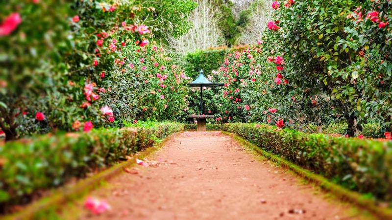 Garden design